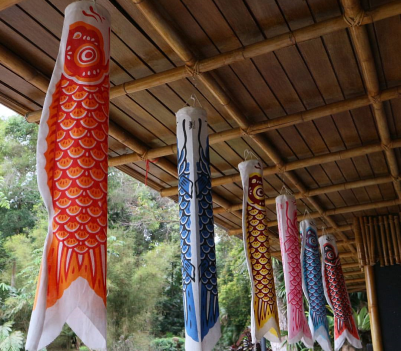 truyen-thong-dac-sac-le-hoi-long-den-ca-chep-o-nhat
